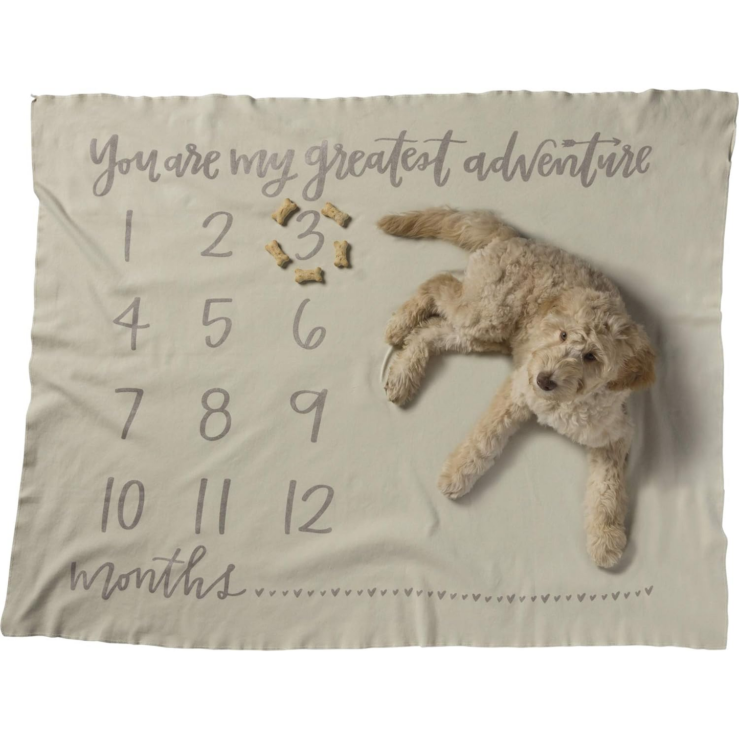 Greatest Adventure Milestone Blanket