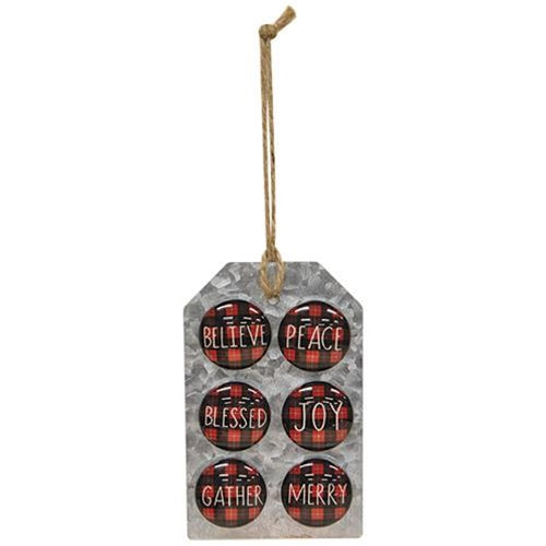 Buffalo Check Magnets