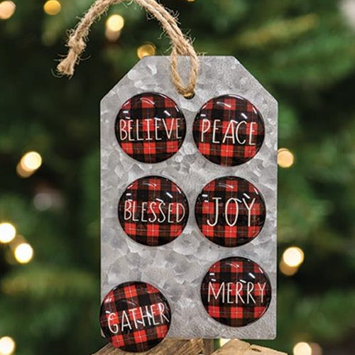 Buffalo Check Magnets