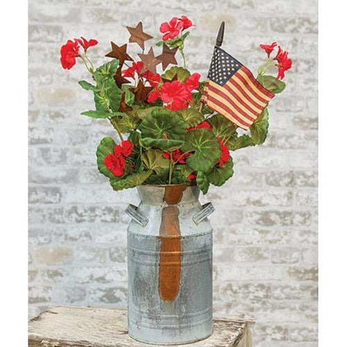 Rusty Star Spray