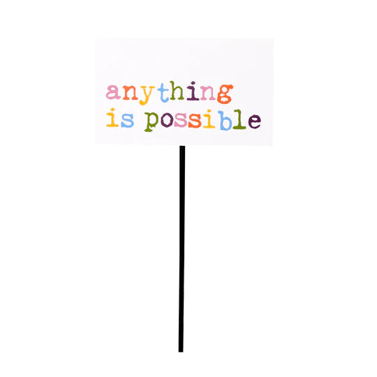 Anything is Possible Pot Pick