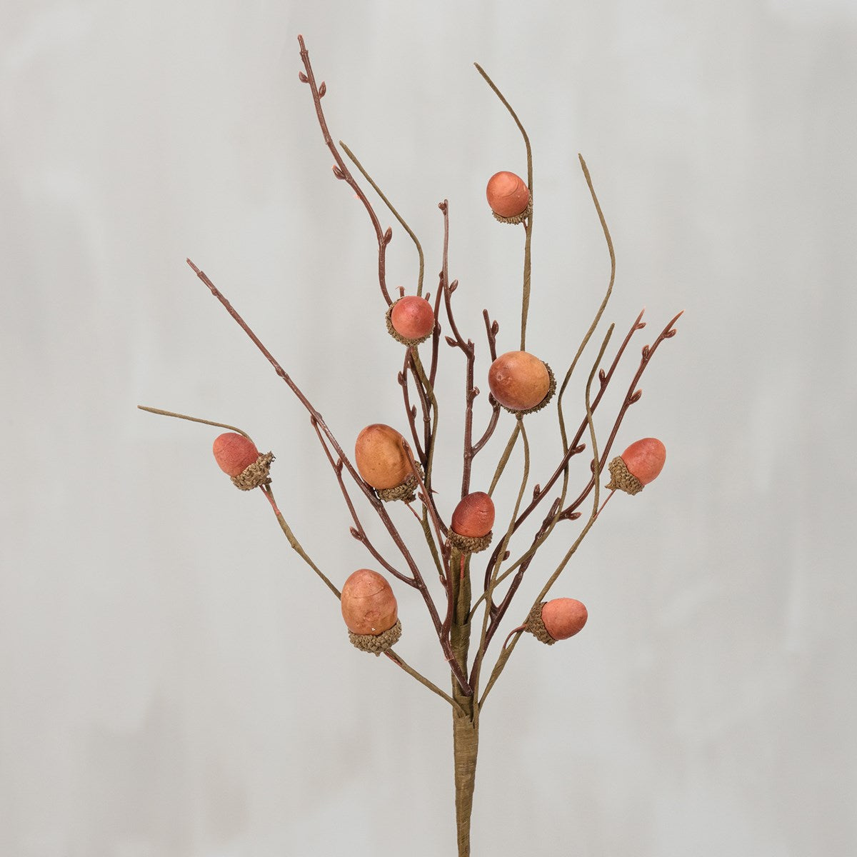 Acorns Pick