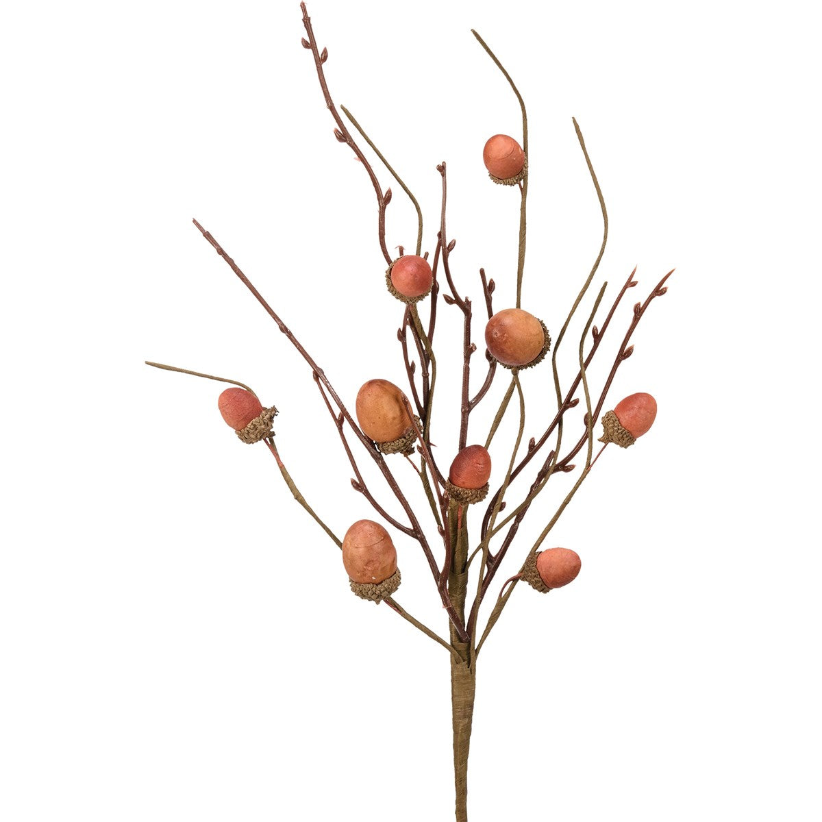 Acorns Pick
