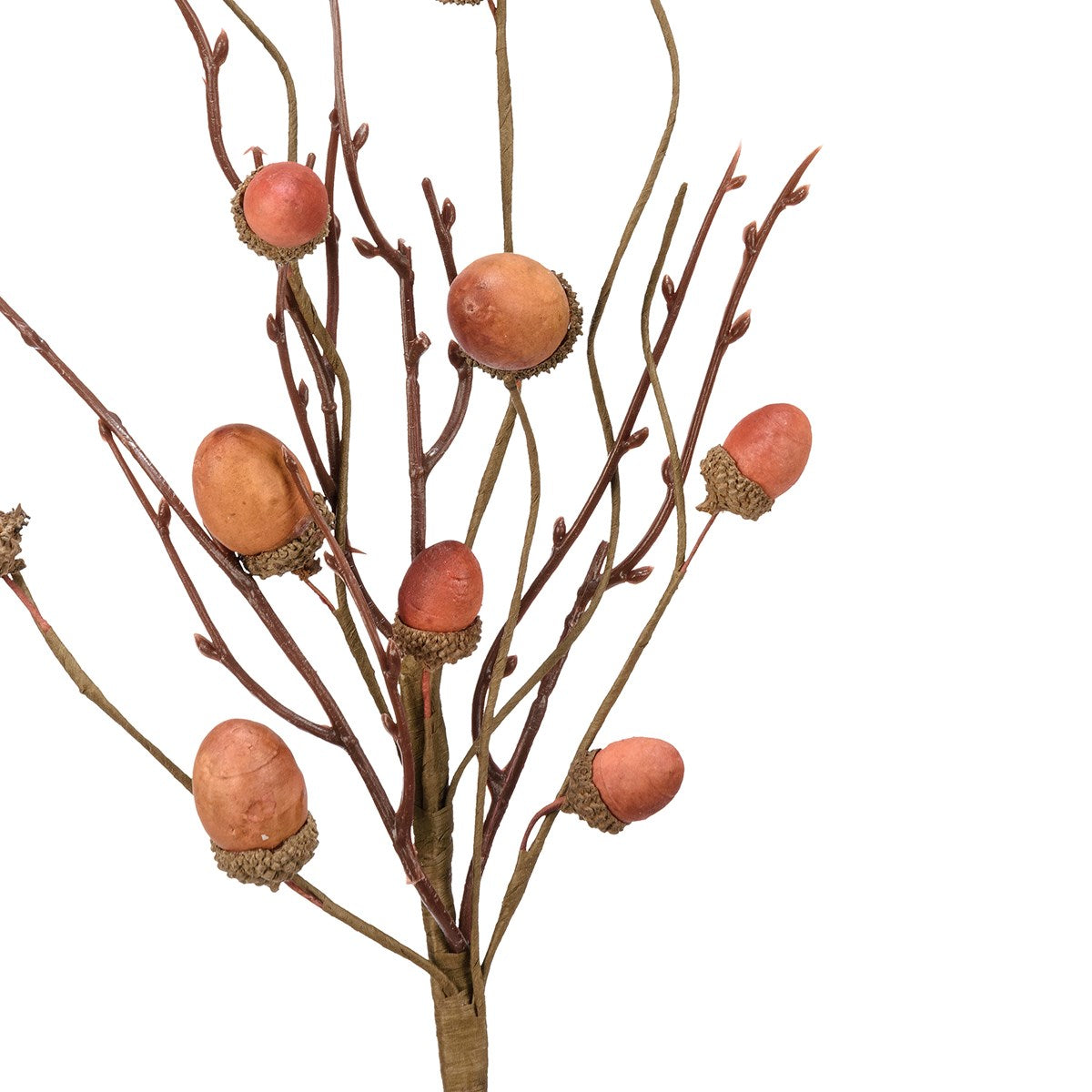 Acorns Pick