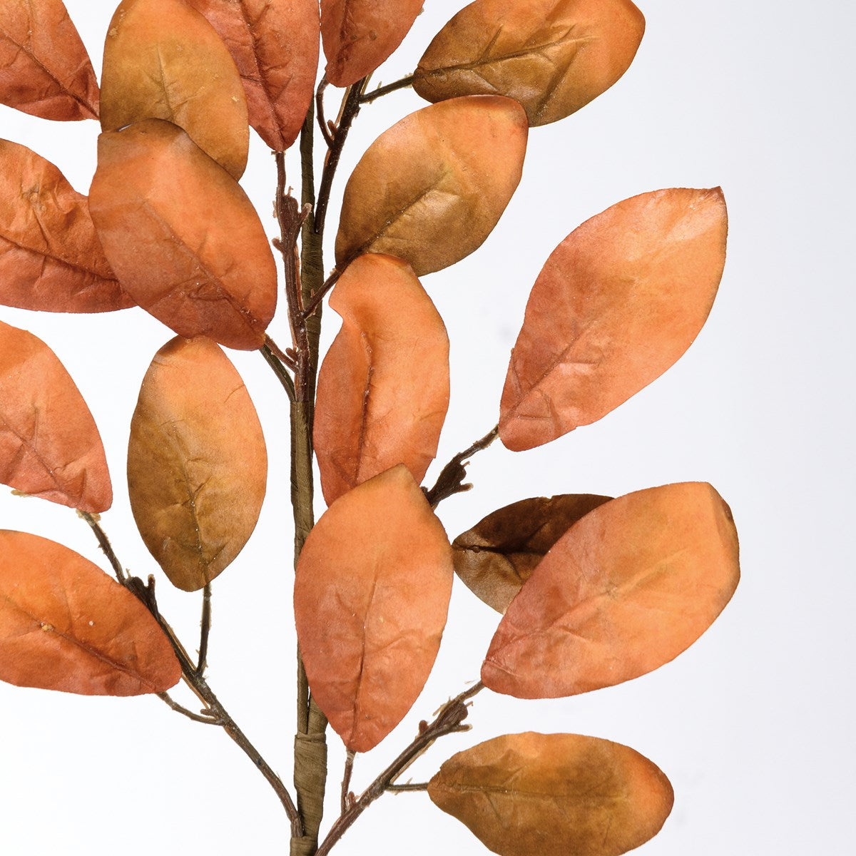 Large Fall Leaves Pick