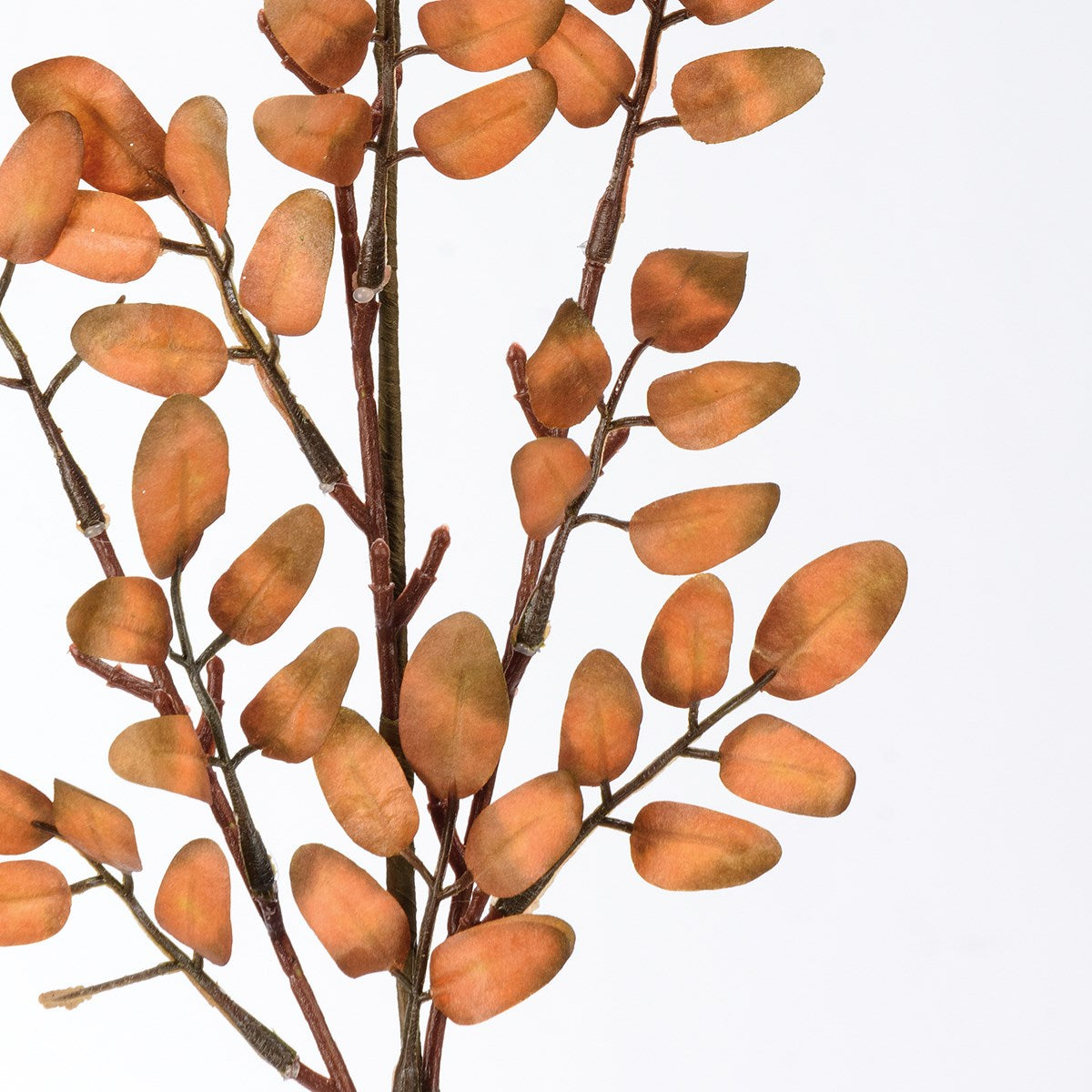 Small Fall Leaves Pick