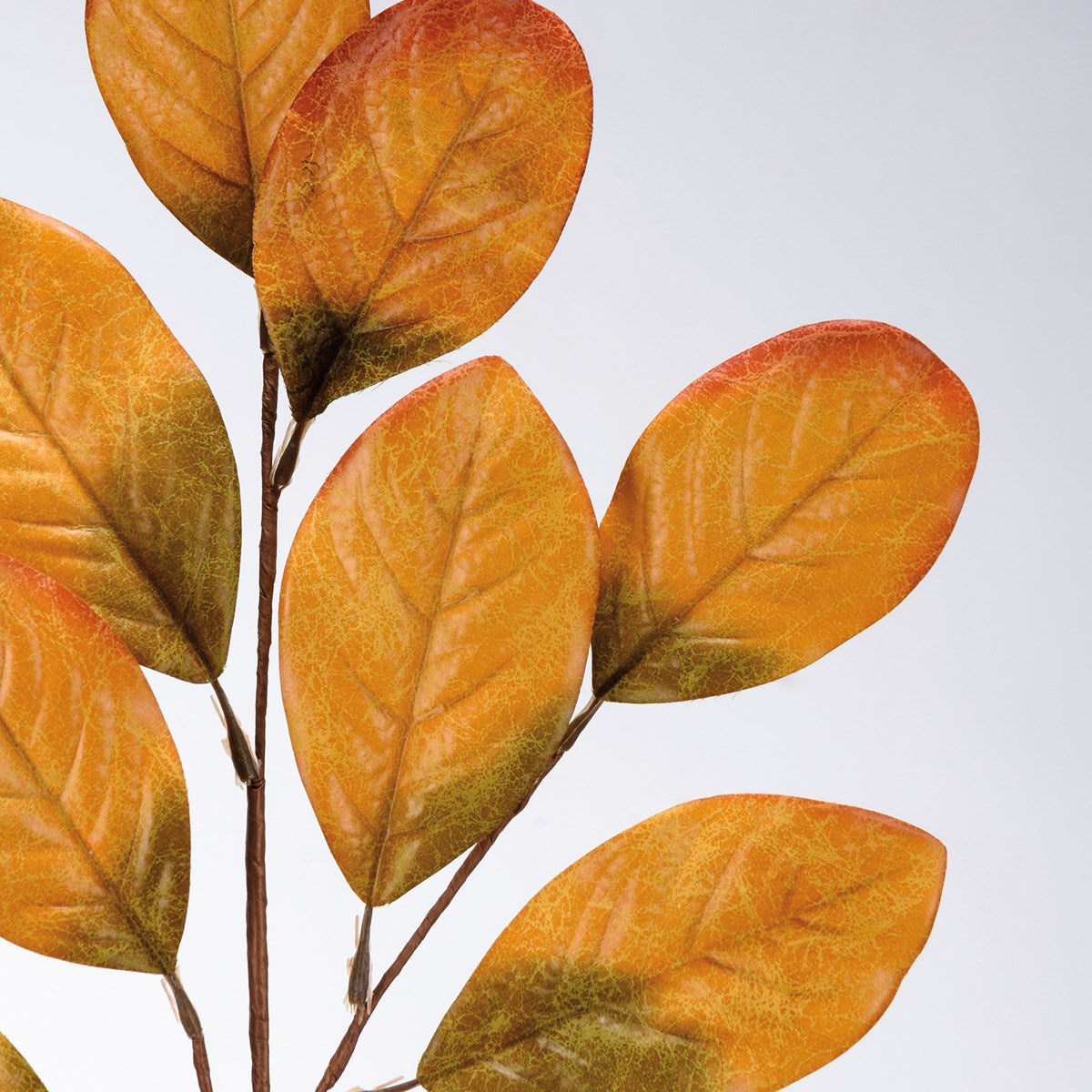 Gold Rubber Plant Pick