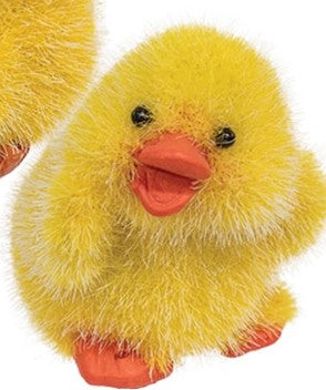 Chick