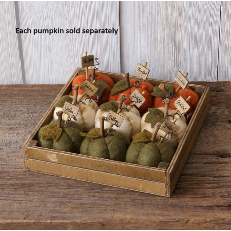 Mini Stuffed Pumpkin - Grateful