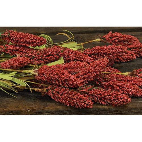 Millet Heather Bush Spray - Orange, 24"