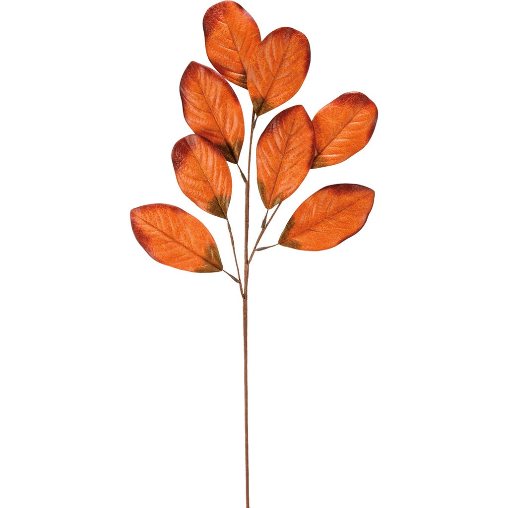 rubber tree orange leaves Orange Rubber Plant Pick – M&D Mercantile