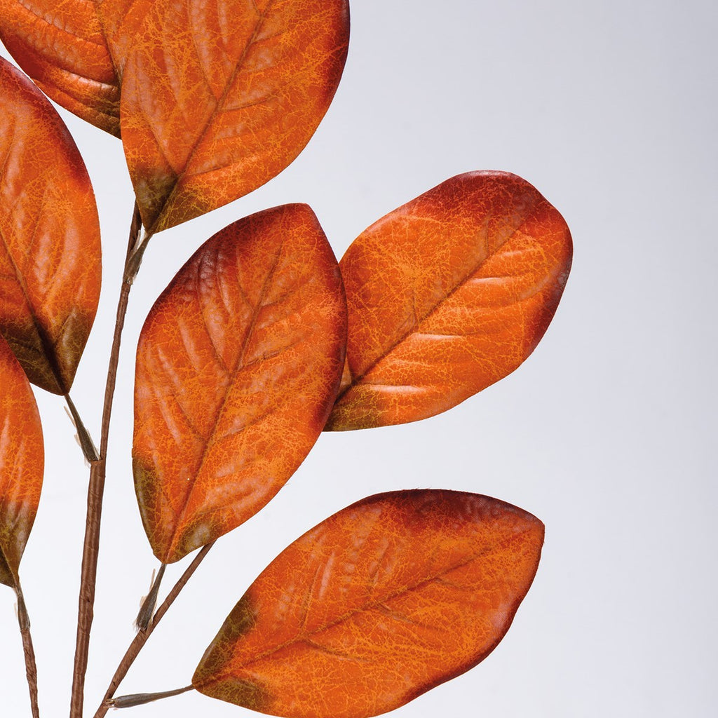 rubber tree orange leaves Orange Rubber Plant Pick – M&D Mercantile