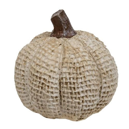 Pumpkin - Cream